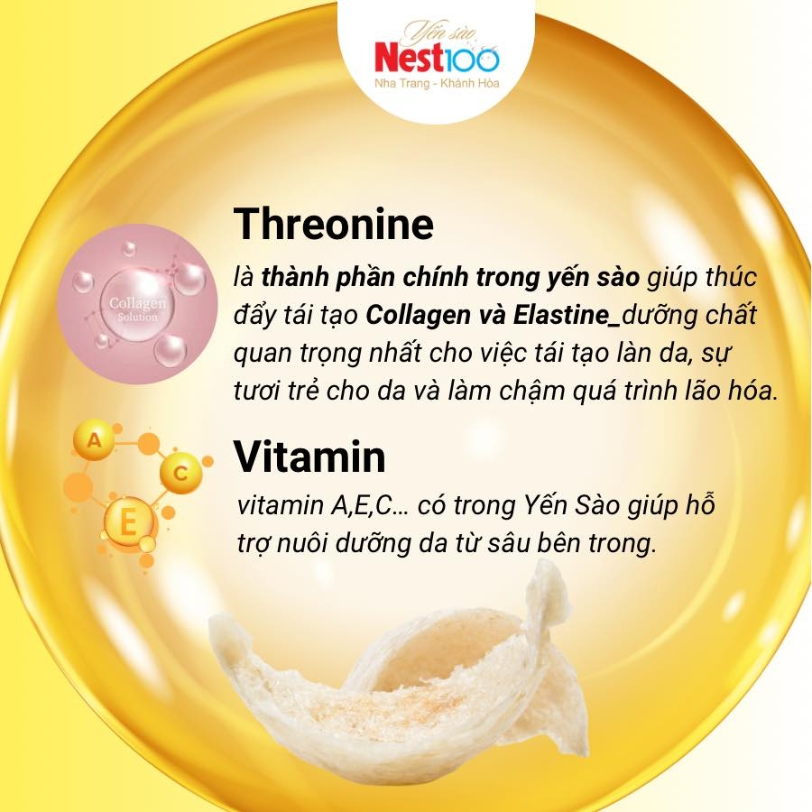 Yến tổ Nest100 – Rút lông loại đặc biệt (50g + túi)