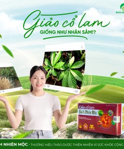 TPBVSK Giảo Cổ Lam Bách Nhiên Mộc hỗ trợ giảm mỡ máu, hạn chế xơ vữa động mạch (Hộp 60 viên)