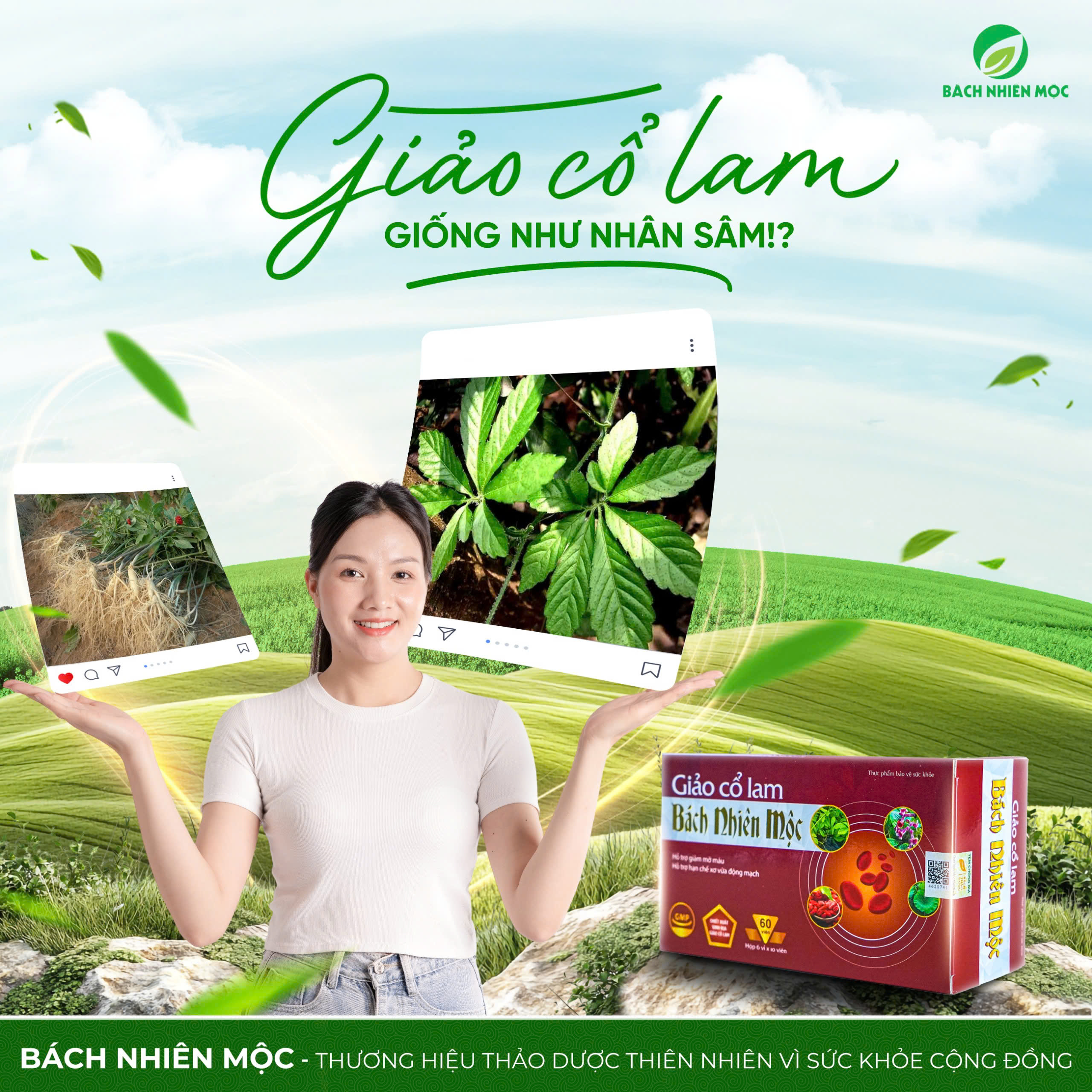 TPBVSK Giảo Cổ Lam Bách Nhiên Mộc hỗ trợ giảm mỡ máu, hạn chế xơ vữa động mạch (Hộp 60 viên)