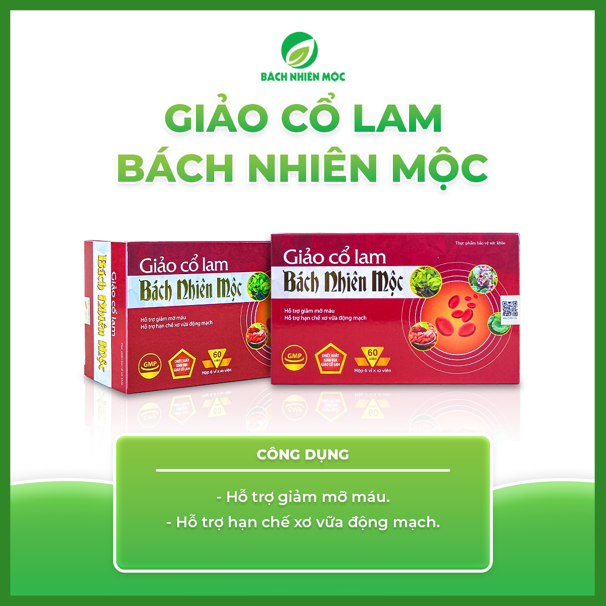 TPBVSK Giảo Cổ Lam Bách Nhiên Mộc hỗ trợ giảm mỡ máu, hạn chế xơ vữa động mạch (Hộp 60 viên)