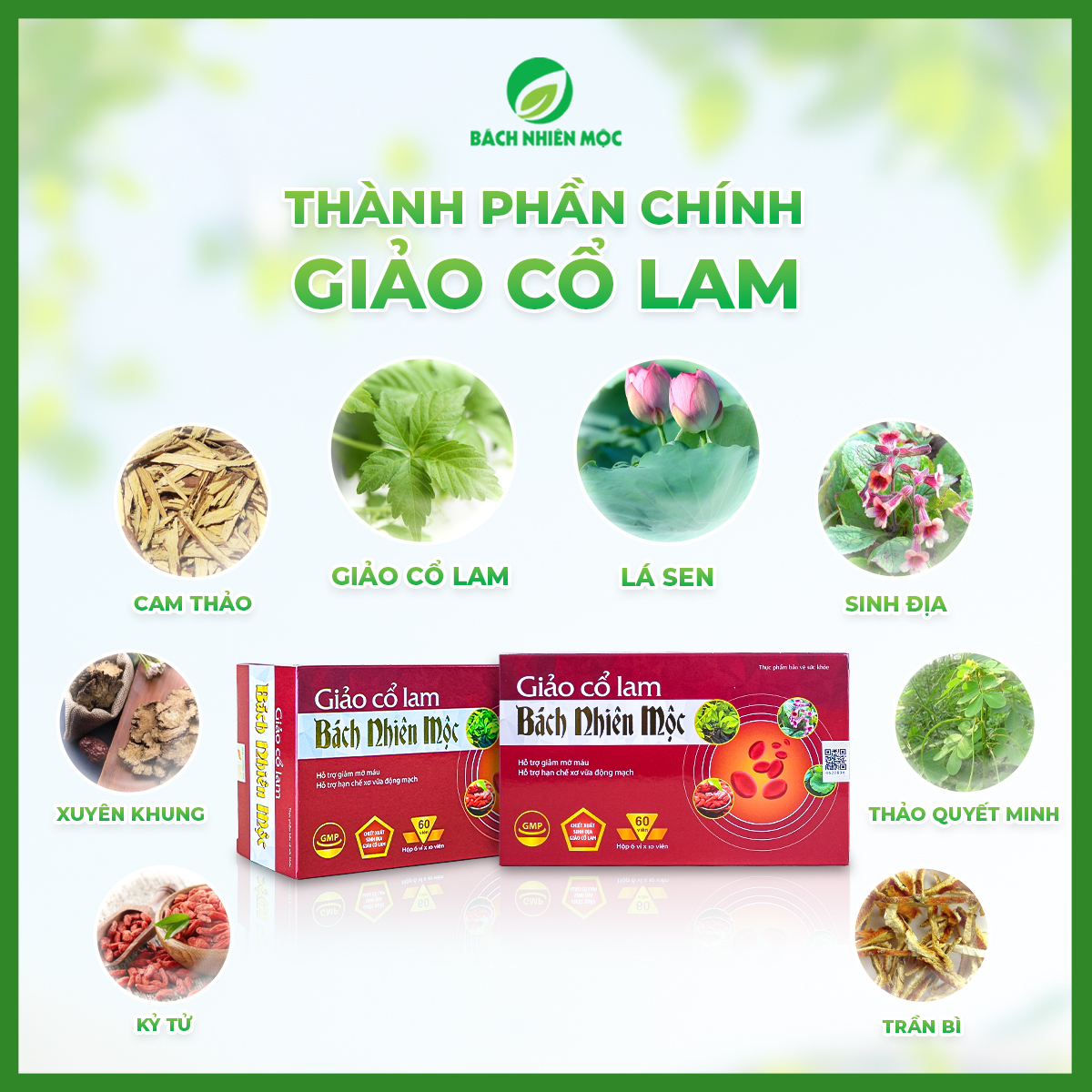 TPBVSK Giảo Cổ Lam Bách Nhiên Mộc hỗ trợ giảm mỡ máu, hạn chế xơ vữa động mạch (Hộp 60 viên)