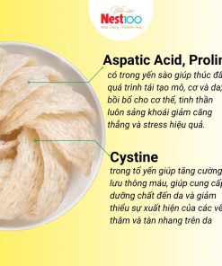 Yến tổ Nest100 – Tinh chế loại 1 (Hộp 50g + túi)
