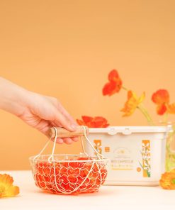 Thùng 4 Hộp 20 Viên giặt xả BioCapsule Đơn