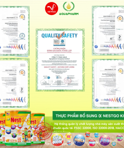 Sữa non Alpha Nest Go Kids hỗ trợ phát triển toàn diện cho trẻ từ 1-10 tuổi (Lon 800g)