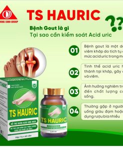 TPBVSK TS HAURIC HỘP 60V