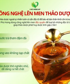 Trà Giải Độc Thanh Nhiệt Thái Bình 125gram ( Túi lọc)