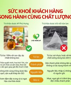Trà Giải Độc Thanh Nhiệt Thái Bình 125gram ( Túi lọc)