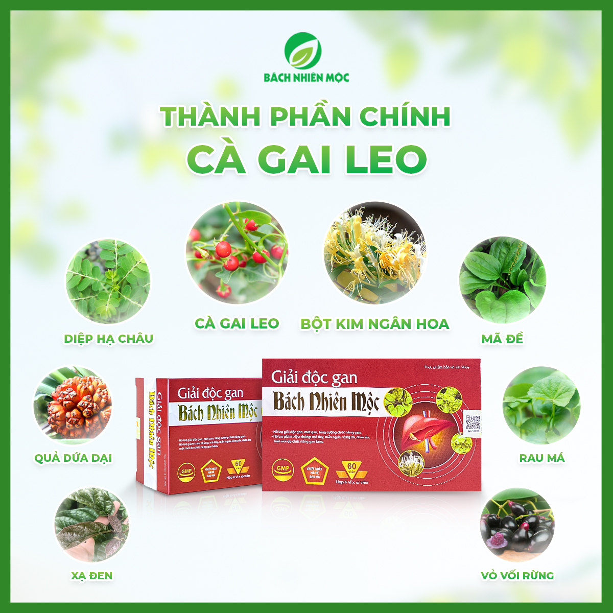 TPBVSK Giải Độc Gan Bách Nhiên Mộc hỗ trợ giải độc gan, mát gan (Hộp 60 viên)