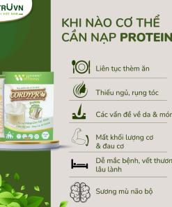 Bột Protein thực vật Cordypro – Hỗ trợ cơ bắp, sức bền, tim mạch, tăng cường miễn dịch (30 gói)