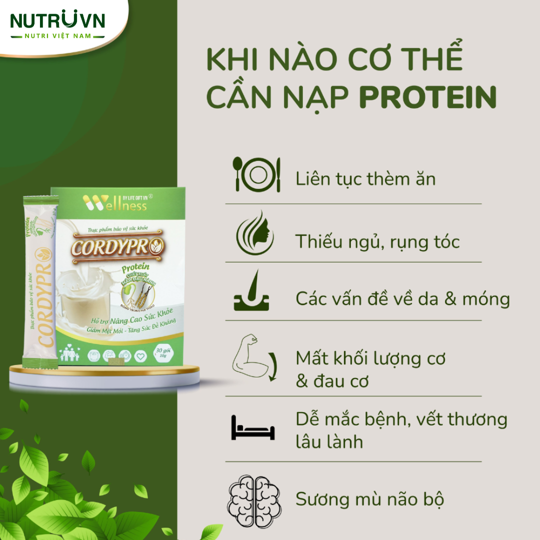 Bột Protein thực vật Cordypro – Hỗ trợ cơ bắp, sức bền, tim mạch, tăng cường miễn dịch (30 gói)