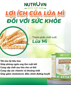 Bột Protein thực vật Cordypro – Hỗ trợ cơ bắp, sức bền, tim mạch, tăng cường miễn dịch (30 gói)