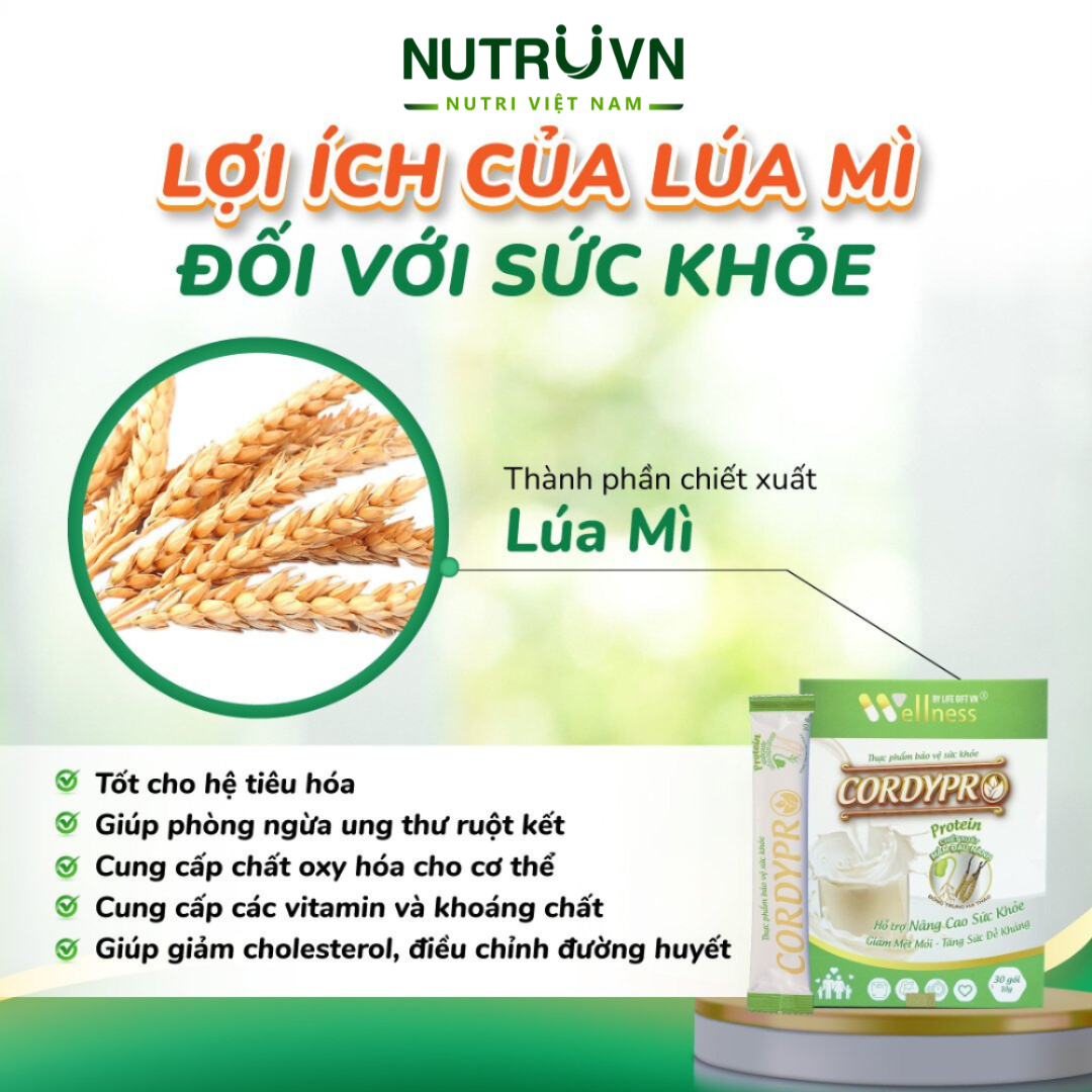 Bột Protein thực vật Cordypro – Hỗ trợ cơ bắp, sức bền, tim mạch, tăng cường miễn dịch (30 gói)