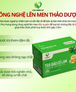 Trà Giảo Cổ Lam AP Phú Hưng