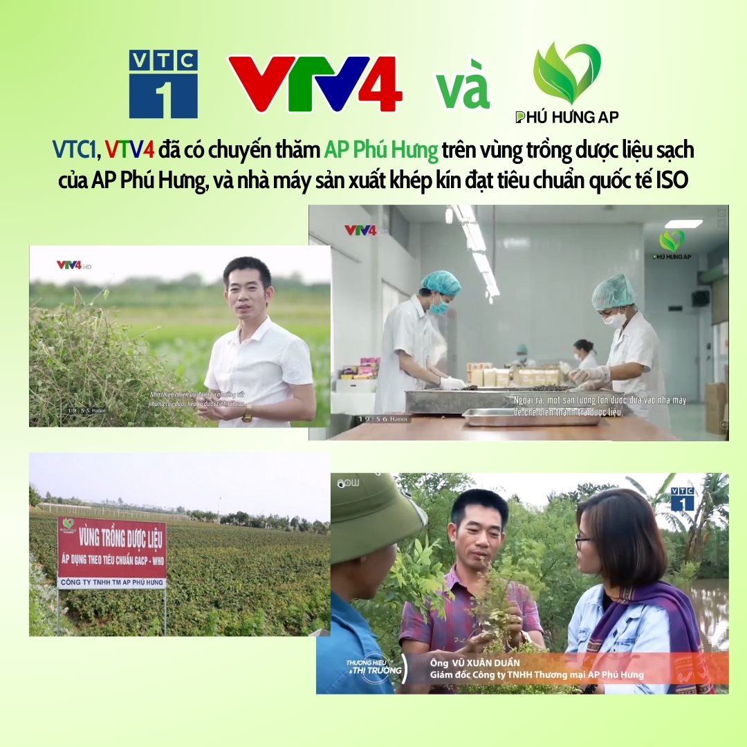 Trà Giảo Cổ Lam AP Phú Hưng