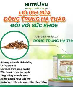 Bột Protein thực vật Cordypro – Hỗ trợ cơ bắp, sức bền, tim mạch, tăng cường miễn dịch (30 gói)