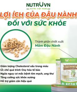 Bột Protein thực vật Cordypro – Hỗ trợ cơ bắp, sức bền, tim mạch, tăng cường miễn dịch (30 gói)