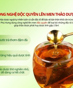 Trà Tía Tô AP PHÚ HƯNG Thảo dược 100% tự nhiên