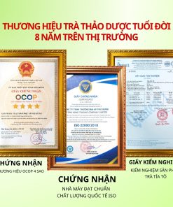 Trà Tía Tô AP PHÚ HƯNG Thảo dược 100% tự nhiên