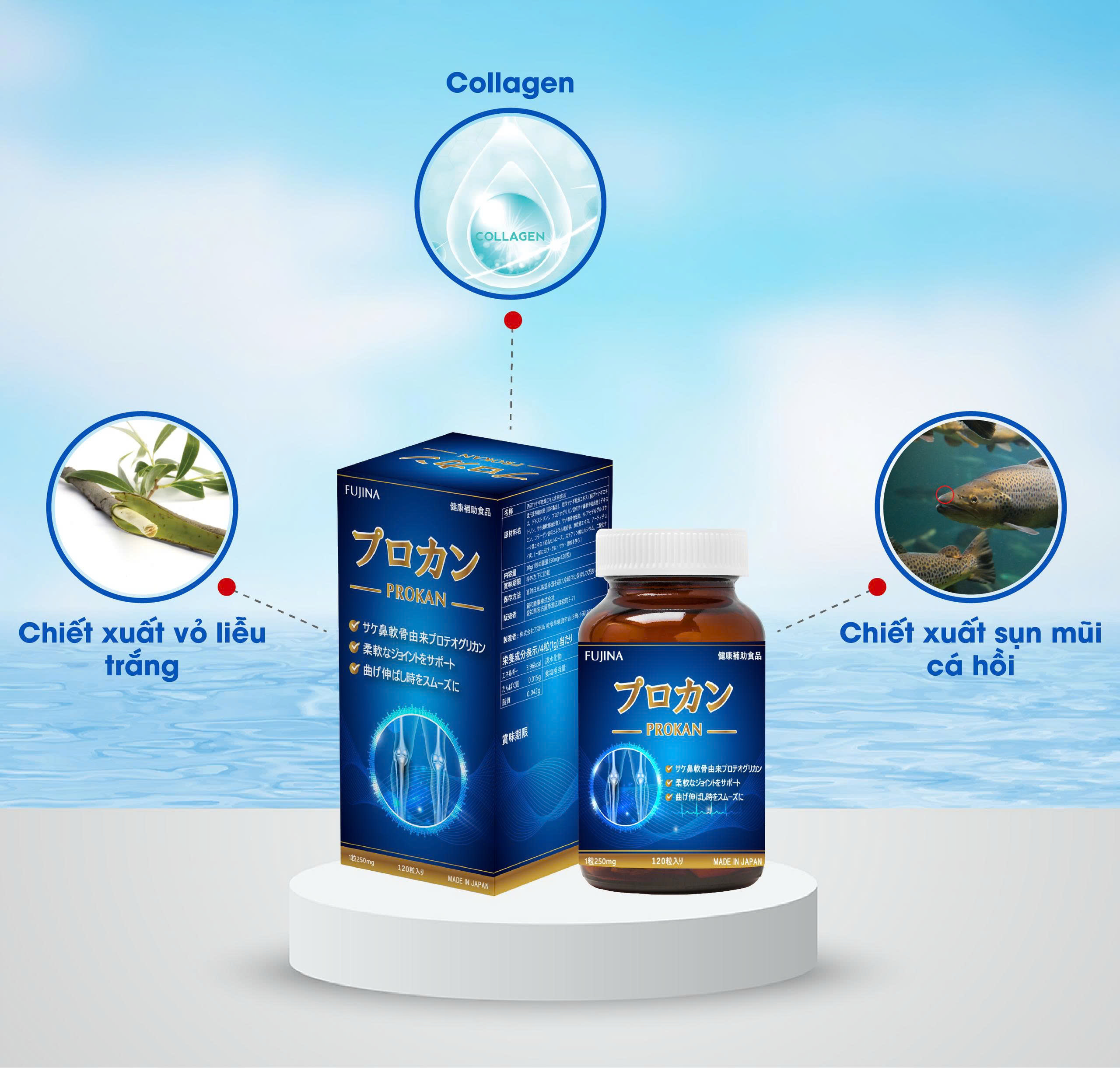 Viên uống hỗ trợ bổ khớp Prokan Nhật Bản ( 120 viên)