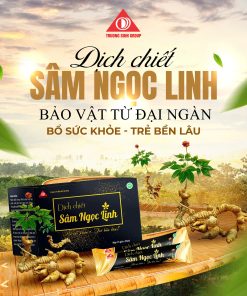 Dịch chiết Sâm Ngọc Linh hỗ trợ bồi bổ sức khỏe (15 gói/hộp)