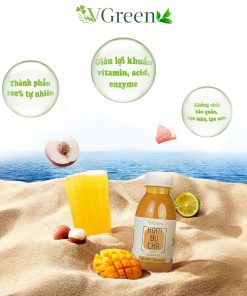 VKombucha Light 250ml Mix Vị (Thùng 24 Chai)