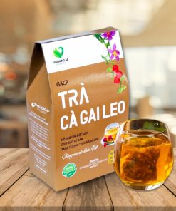 Trà Cà Gai Leo Hỗ Trợ Bảo Vệ Gan AP Phú Hưng
