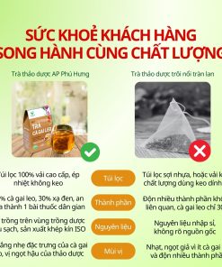Trà Cà Gai Leo Hỗ Trợ Bảo Vệ Gan AP Phú Hưng