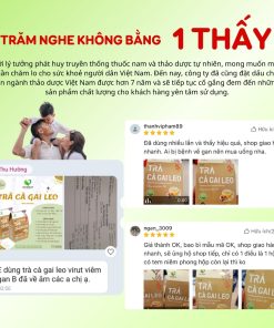 Trà Cà Gai Leo Hỗ Trợ Bảo Vệ Gan AP Phú Hưng