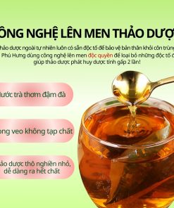 Trà Dáng Tây Thi Hỗ Trợ Giảm Mỡ AP Phú Hưng