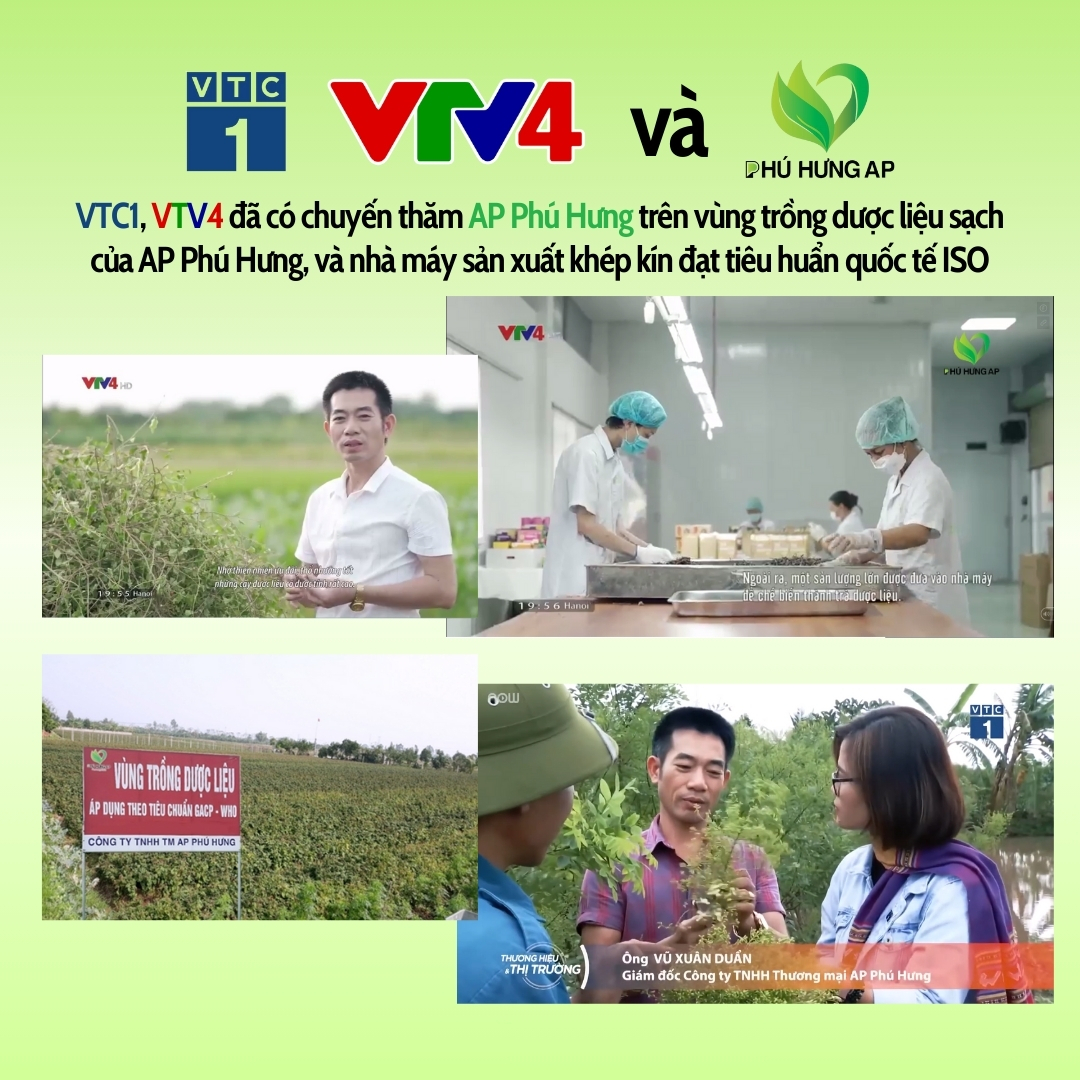 Trà Dáng Tây Thi Hỗ Trợ Giảm Mỡ AP Phú Hưng