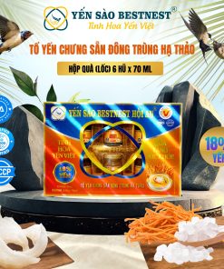 Lốc 6 hũ Tổ yến chưng sẵn BESTNEST HỘI AN 18% Đông Trùng Hạ Thảo