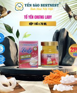 Hộp 1 hũ Yến Sào BESTNEST HỘI AN 21% Lady