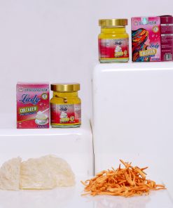 Hộp 1 hũ Yến Sào BESTNEST HỘI AN 21% Lady