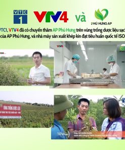 Trà Giấc Tiên Hỗ Trợ Ngủ Ngon AP Phú Hưng