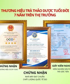 Trà Giấc Tiên Hỗ Trợ Ngủ Ngon AP Phú Hưng