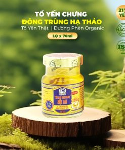Hộp 4 hũ Yến Sào BESTNEST HỘI AN Premium 21% Đông trùng hạ thảo