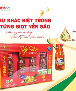 Nước Yến Sâm cao cấp Ginnest Nest100 (4 chai 170ml + túi)