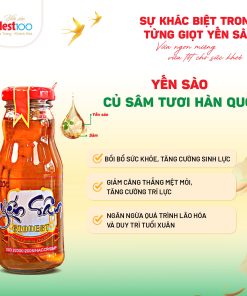 Nước Yến Sâm cao cấp Ginnest Nest100 (4 chai 170ml + túi)