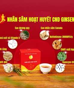 Sâm CND Ginseng Hoạt Huyết – Hỗ trợ tuần hoàn não, giảm đau đầu, chóng mặt (kèm túi)