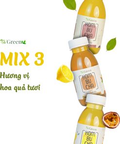 VKombucha Light – Mix Vị (Pack 6 Chai x 250ml)