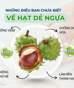 Viên uống Venaxin FORTE – Hỗ trợ giảm Suy giãn tĩnh mạch