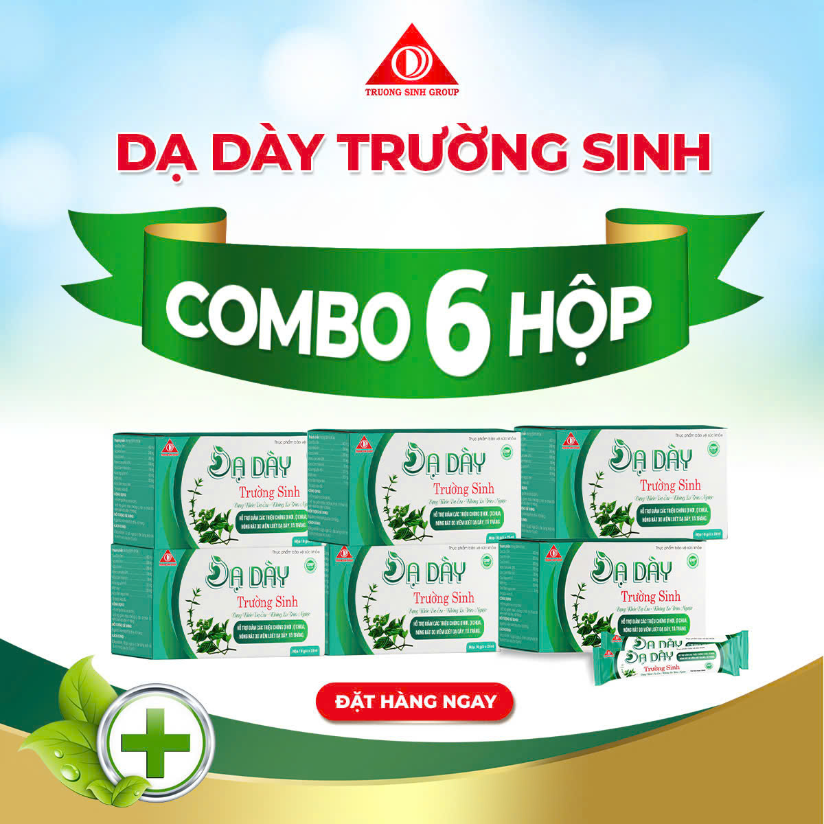 Combo 6 hộp dạ dày Trường Sinh