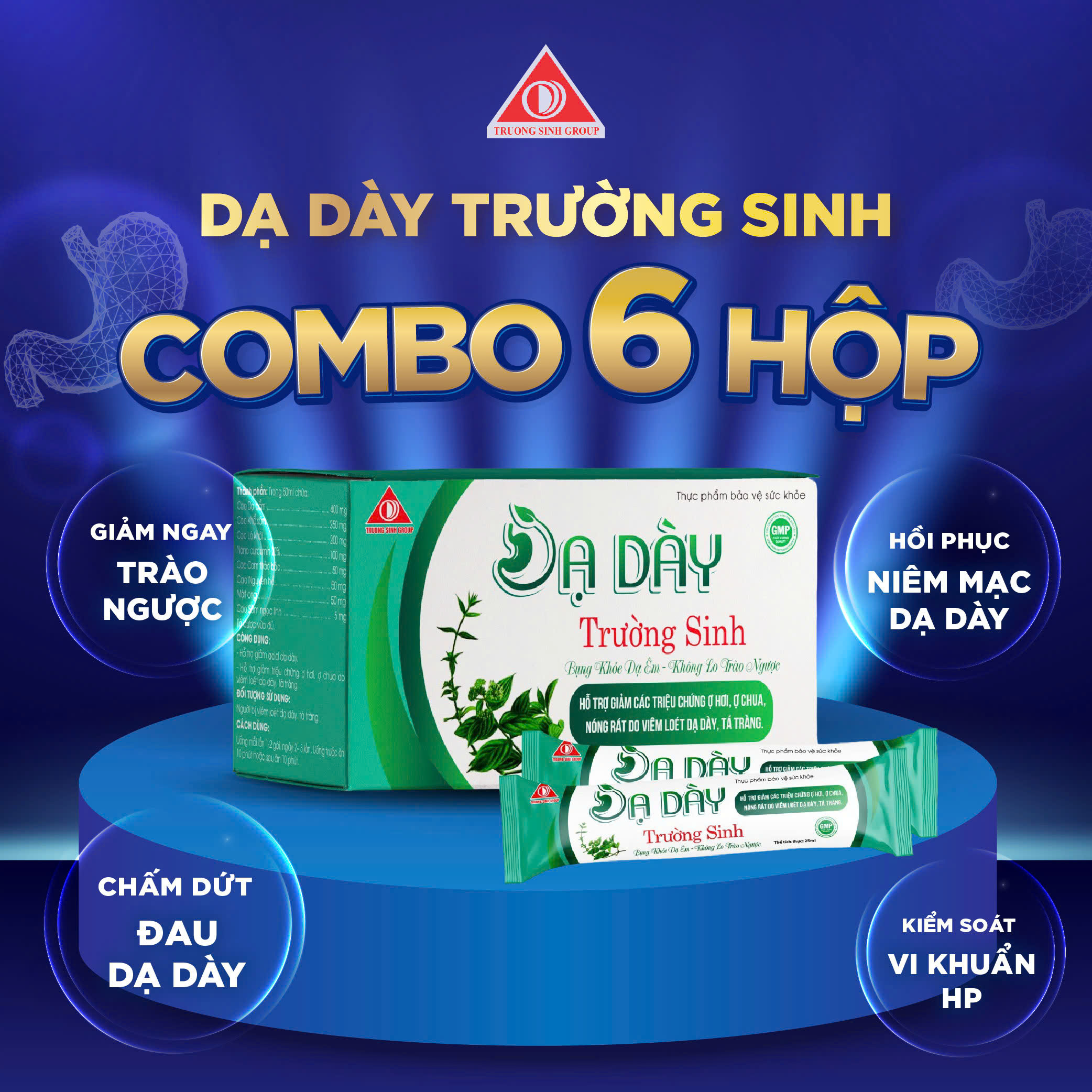 Combo 6 hộp dạ dày Trường Sinh
