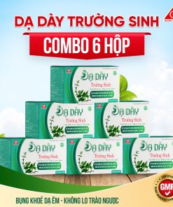 Combo 6 hộp dạ dày Trường Sinh