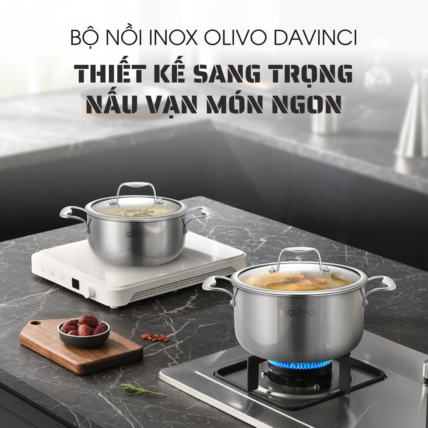 Nồi OLIVO DAVINCI 2010
