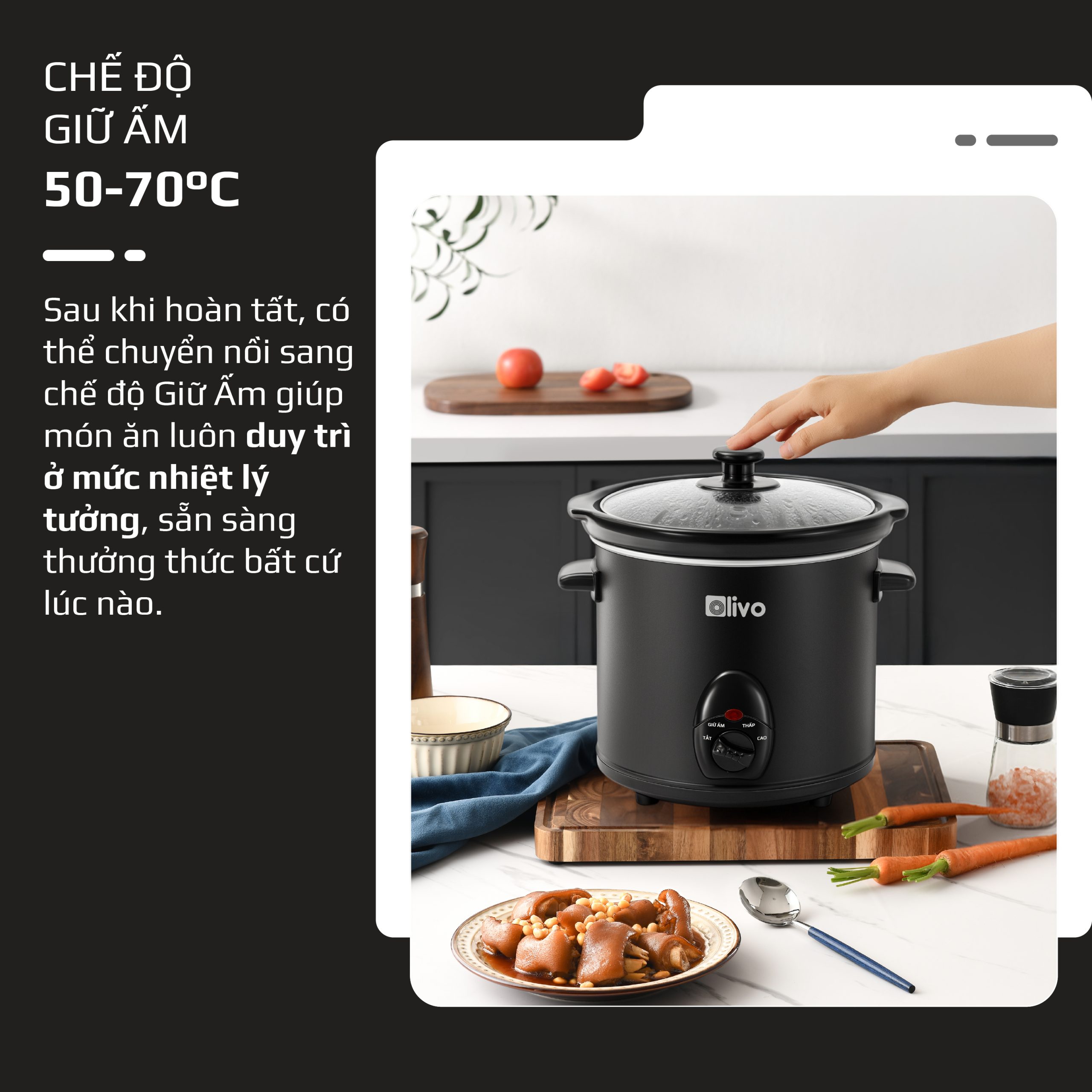 Nồi nấu chậm OLIVO SC30