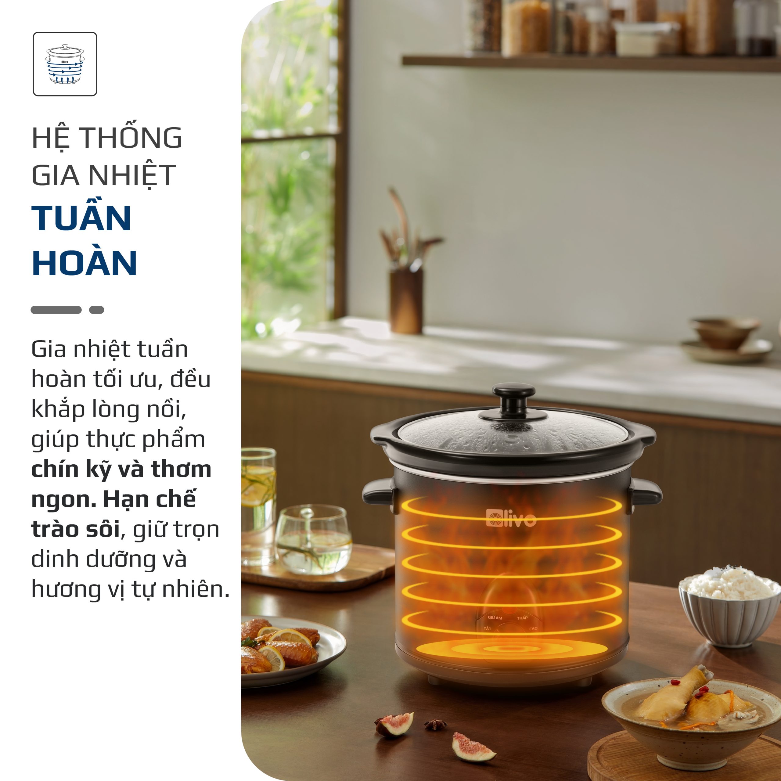 Nồi nấu chậm OLIVO SC30