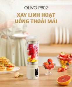 Máy xay sinh tố cầm tay OLIVO PB02