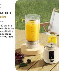 Máy xay sinh tố cầm tay OLIVO PB02