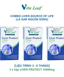 Combo liver-source of life (lá gan nguồn sống) (3 hộp)- Hỗ trợ Thải độc gan, bảo vệ và duy trì chức năng gan
